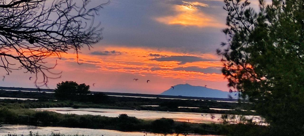Suite Avec Tropezienne Vue Mer Hyères Buitenkant foto